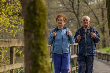 senior couple hiking outdoors in nature - 781171217