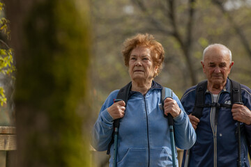 senior couple hiking outdoors in nature - 781171270
