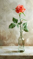  rose in vase on the wall background