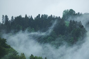 Scenic view of hills covered with green forest on a foggy day in Austria