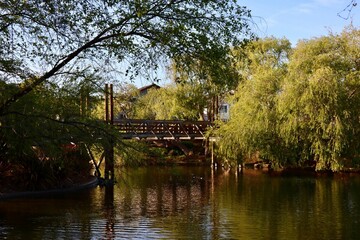 Fototapeta na wymiar Bridge over a lake surrounded by trees