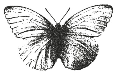Butterfly with a retro photocopy and grain effect. 