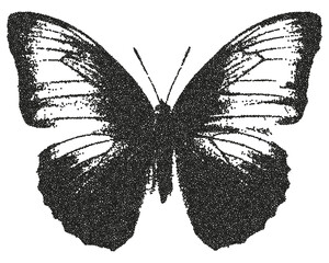 Butterfly with a retro photocopy and grain effect. 