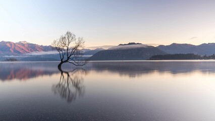 Breathtaking view of a tree in a calm blue lake during sunset in New Zealand