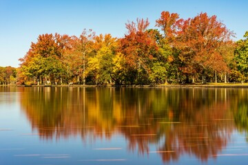 Beautiful tranquil lake reflecting the colorful autumn trees looming over it in a sunny park