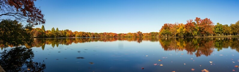 Beautiful tranquil lake reflecting the colorful autumn trees looming over it in a sunny park