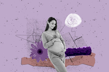 Composite photo collage of happy pregnant girl stand touch belly flowers chrysanthemum tree mother...
