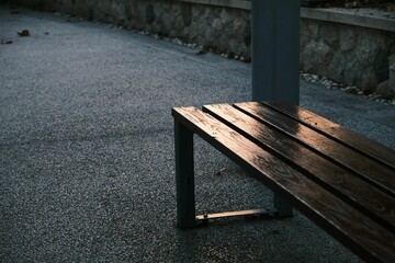 Bench on the asphalt pathway in a park