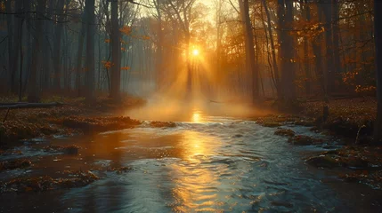 Poster the sun shines through trees in a forest by a river © Wirestock