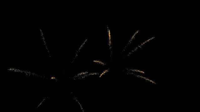 Slow motion fireworks in the black night sky. Festive salute
