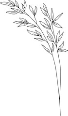 Obraz premium Hand drawn line art grass