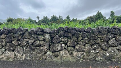Stone wall at the Jeju Island. Jeju island is famous for its basalt stone wall.