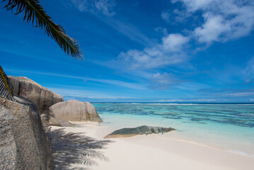 Tropical white beach with palm trees