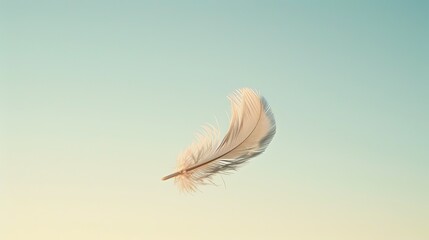 Feather drifting down against a backdrop of clear