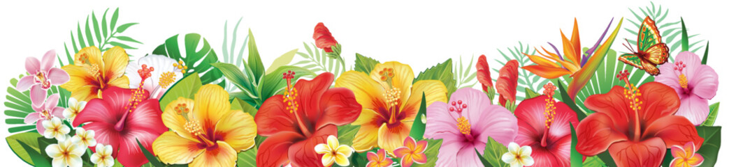 Border from hibiscus flowers and Tropical Leaf - 781203257