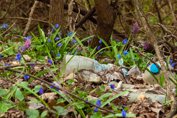 The first spring flowers in the forest and garbage on the grass. Plastic pollution