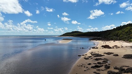 Sandy beach by a sea with a forest in background