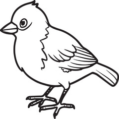 Sparrow coloring pages. Sparrow bird outline vector for coloring book