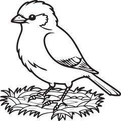 Sparrow coloring pages. Sparrow bird outline vector for coloring book