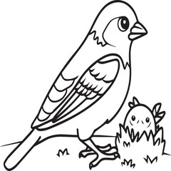 Sparrow coloring pages. Sparrow bird outline vector for coloring book