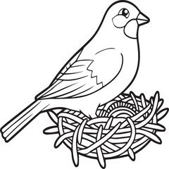 Sparrow coloring pages. Sparrow bird outline vector for coloring book