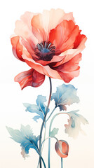 Red poppy.Flowers,.Spring. Card	