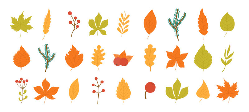 Для ИнтернетаSet of colorful autumn leaves and berries isolated on a white background. Yellow autumn garden leaf, red autumn leaf and fallen dry leaves. Simple cartoon flat style, vector illustration