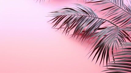 Fototapeta na wymiar pink summer background with palm leaves and shadow, copy space