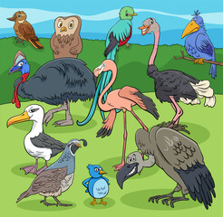 birds animal characters group cartoon illustration - 781211218