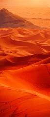 Zelfklevend Fotobehang a vast desert landscape the shifting sands with ease © Rona_65