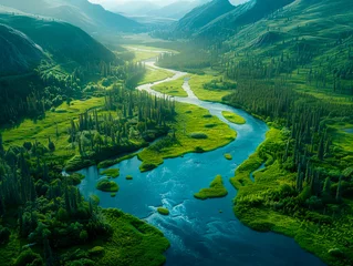 Foto op Plexiglas a pristine river winding through a verdant valley © Rona_65