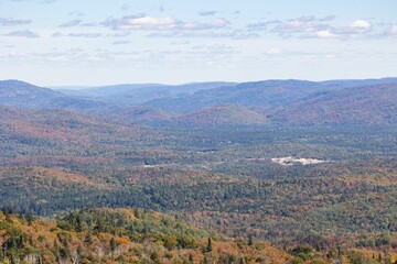 Aerial view of mountain landscape with dense trees