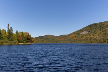 Aerial view of lake surrounded by dense trees