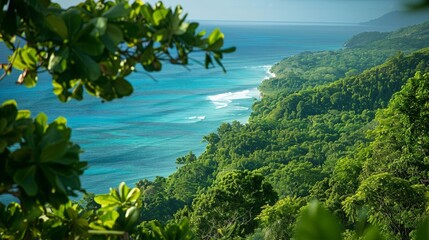 A high viewpoint of a tropical forest meeting the sea, the line between blue and green blurred
