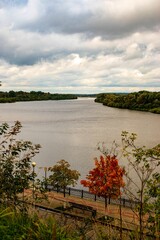 Vertical shot of mahogany on the bank with the river in the background in Gomel