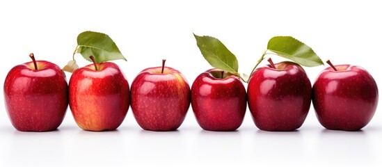 Row of red apples with green leaves, Gloucester variety on white background