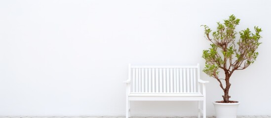 White seat beside plant and garden chair on plain backdrop