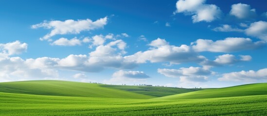 Fototapeta na wymiar Green field under cloudy sky