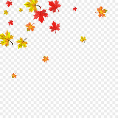 Yellow Plant Background Transparent Vector. Leaves Flying Frame. Red Design Leaf. Bright Foliage Card.