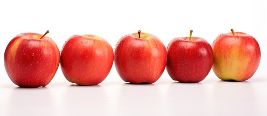 Apples Arranged in Row on White Surface