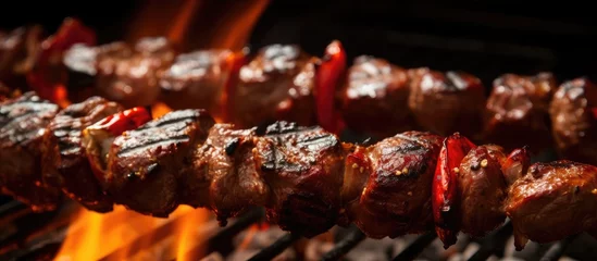  Grilled meat and flames up close © vxnaghiyev