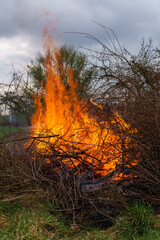 Shot of pieces of wood and branches burning in the forest