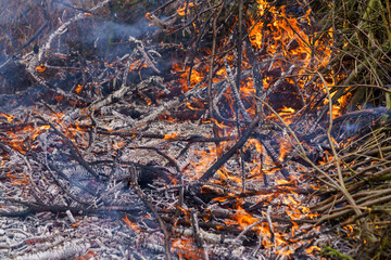 Shot of pieces of woods and branches burning