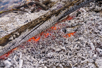 Shot of a burning branch