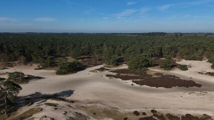 Aerial view of a serene forest landscape with sandy clearings, dense green pine trees, and patches of heath under a clear blue sky.