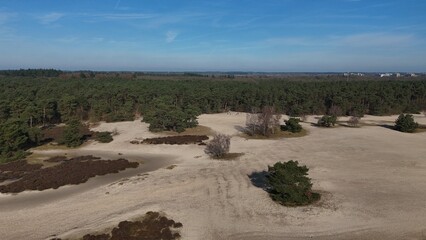 Aerial view of a serene sandy landscape with scattered trees and shrubs under a clear blue sky,...