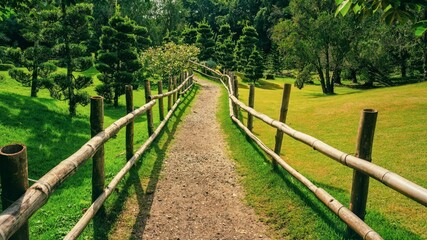Fenced path in a green garden