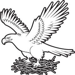 Eagle coloring pages. Eagle bird outline vector for coloring book