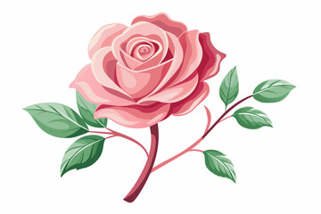 Watercolor pink rose with leaves and stem silhouette vector illustration