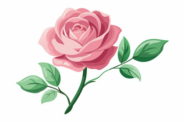 Watercolor pink rose with leaves and stem silhouette vector illustration